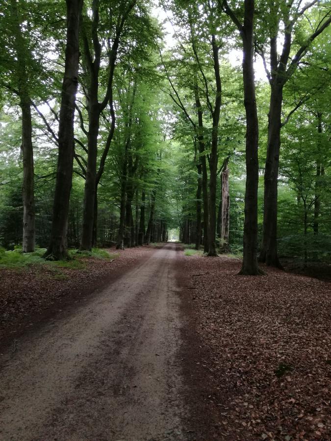 Recreatieoord Hippique Villa Westendorp Екстериор снимка